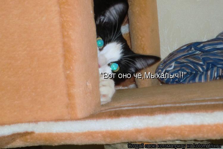 "Вот оно чё,Мыхалыч!!"... Котоматрица: "Вот оно чё,Мыхалыч!!"