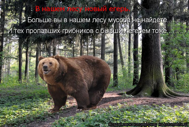 В нашем лесу новый егерь. Больше вы в нашем лесу мусора не найдёте...... И тех пропавших грибников ... Котоматрица: В нашем лесу новый егерь. Больше вы в нашем лесу мусора не найдёте...... И тех пропавших грибников с бывшим егерем тоже.........