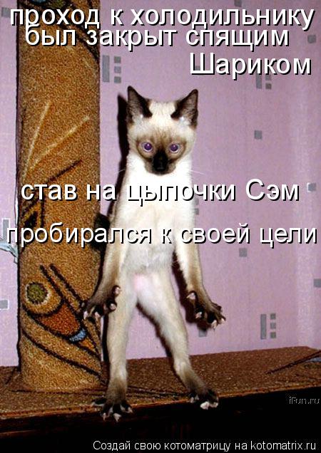 проход к холодильнику был закрыт спящим Шариком став на цыпочки Сэм пробирался к своей цели... Котоматрица: проход к холодильнику был закрыт спящим Шариком став на цыпочки Сэм пробирался к своей цели