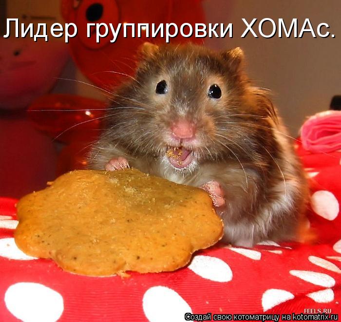 Лидер группировки ХОМАс.... Котоматрица: Лидер группировки ХОМАс.