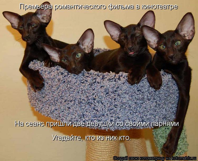 Премьера романтического фильма в кинотеатре На сеанс пришли две девушки со своими парнями Угадайте, к... Котоматрица: Премьера романтического фильма в кинотеатре На сеанс пришли две девушки со своими парнями Угадайте, кто из них кто.