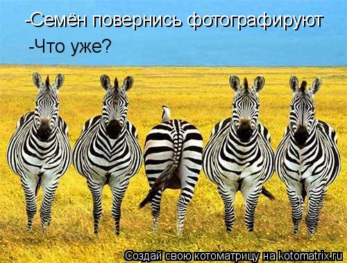 -Семён повернись фотографируют -Что уже?... Котоматрица: -Семён повернись фотографируют -Что уже?