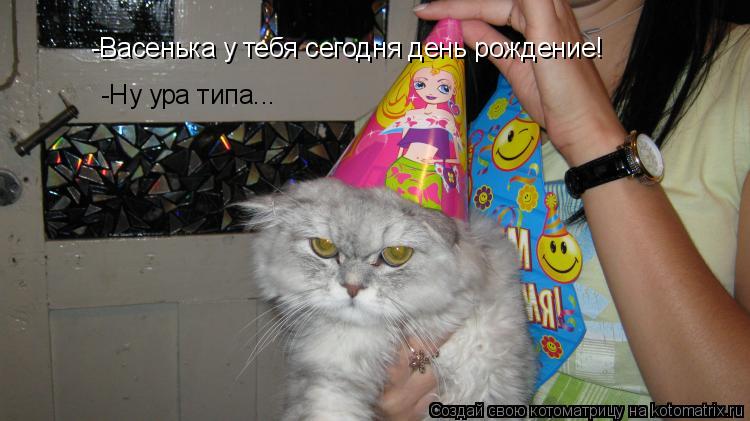 -Васенька у тебя сегодня день рождение! -Ну ура типа...... Котоматрица: -Васенька у тебя сегодня день рождение! -Ну ура типа...