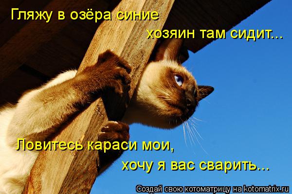 Котоматрица: Гляжу в озёра синие хозяин там сидит... Ловитесь караси мои, хочу я вас сварить...