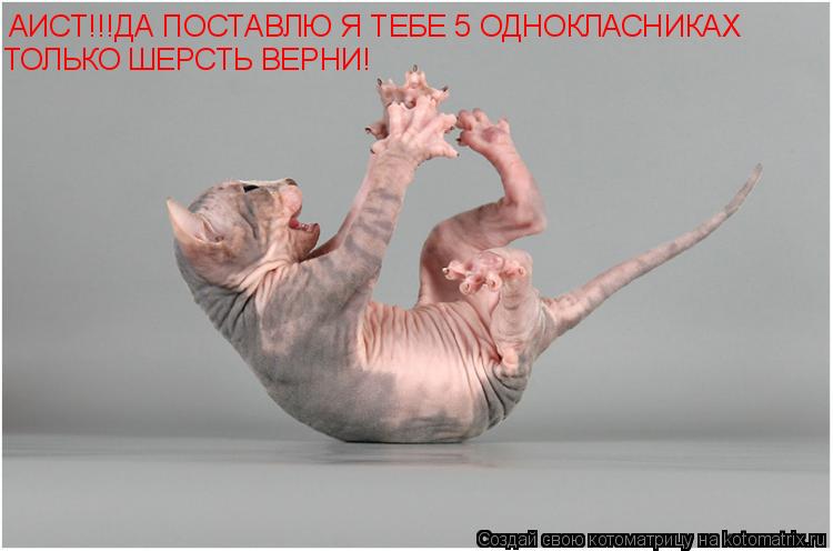 Котоматрица: АИСТ!!!ДА ПОСТАВЛЮ Я ТЕБЕ 5 ОДНОКЛАСНИКАХ ТОЛЬКО ШЕРСТЬ ВЕРНИ!