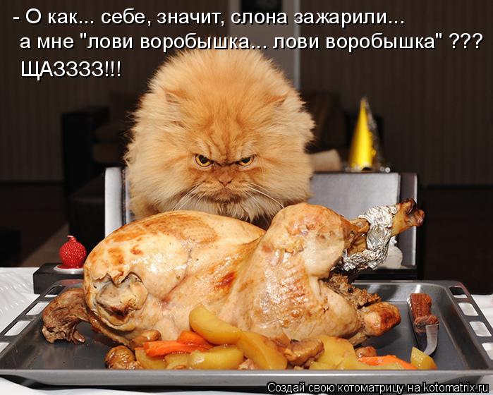 Котоматрица: - О как... себе, значит, слона зажарили...  а мне "лови воробышка... лови воробышка" ??? ЩАЗЗЗЗ!!!