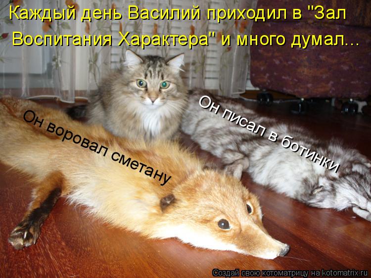 Котоматрица: Он воровал сметану Он писал в ботинки Каждый день Василий приходил в "Зал  Воспитания Характера" и много думал...