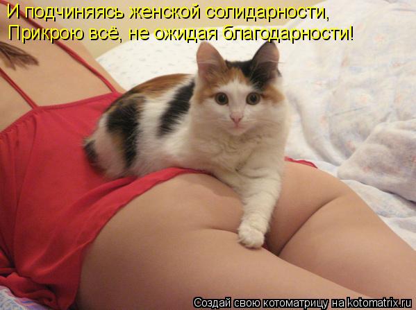 И подчиняясь женской солидарности, Прикрою всё, не ожидая благодарности!... Котоматрица: И подчиняясь женской солидарности, Прикрою всё, не ожидая благодарности!