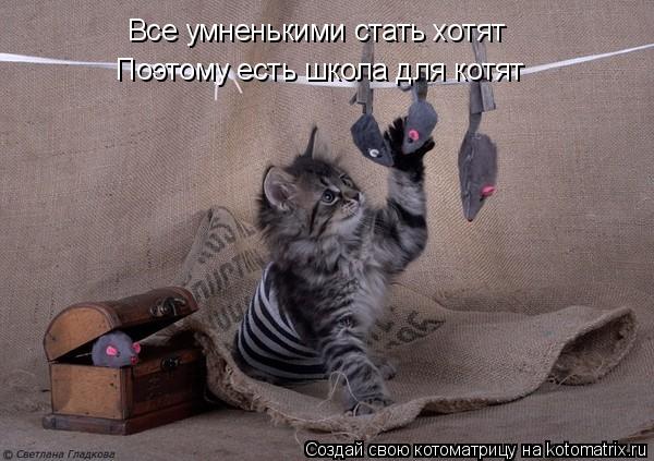Все умненькими стать хотят Поэтому есть школа для котят... Котоматрица: Все умненькими стать хотят Поэтому есть школа для котят