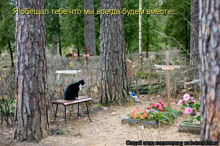 Котоматрица: Я обещал тебе что мы всегда будем вместе...