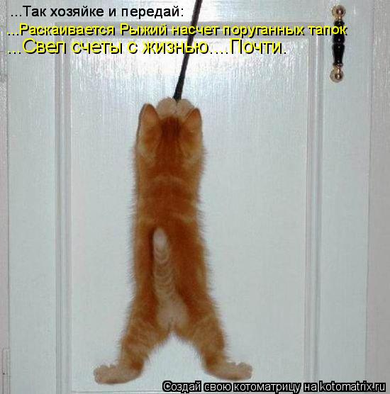 ...Так хозяйке и передай: ...Так хозяйке и передай: ...Раскаивается Рыжий насчет поруганных тапок ...... Котоматрица: ...Так хозяйке и передай: ...Так хозяйке и передай: ...Раскаивается Рыжий насчет поруганных тапок ...Свел счеты с жизнью....Почти.