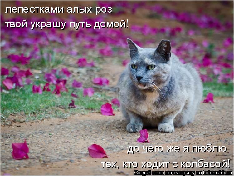 лепестками алых роз до чего же я люблю тех, кто ходит с колбасой! твой украшу путь домой!... Котоматрица: лепестками алых роз до чего же я люблю тех, кто ходит с колбасой! твой украшу путь домой!