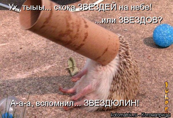 Ух, тыыы... скока ЗВЕЗДЕЙ на небе! ...или ЗВЕЗДОВ? А-а-а, вспомнил... ЗВЕЗДЮЛИН!... Котоматрица: Ух, тыыы... скока ЗВЕЗДЕЙ на небе! ...или ЗВЕЗДОВ? А-а-а, вспомнил... ЗВЕЗДЮЛИН!