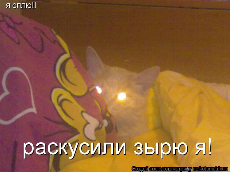 я сплю!! раскусили зырю я!... Котоматрица: я сплю!! раскусили зырю я!