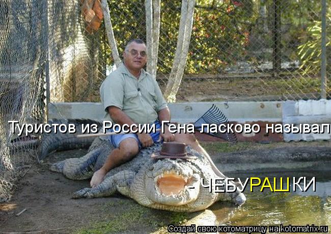 Туристов из России Гена ласково называл - ЧЕБУ РАШ КИ... Котоматрица: Туристов из России Гена ласково называл - ЧЕБУ РАШ КИ