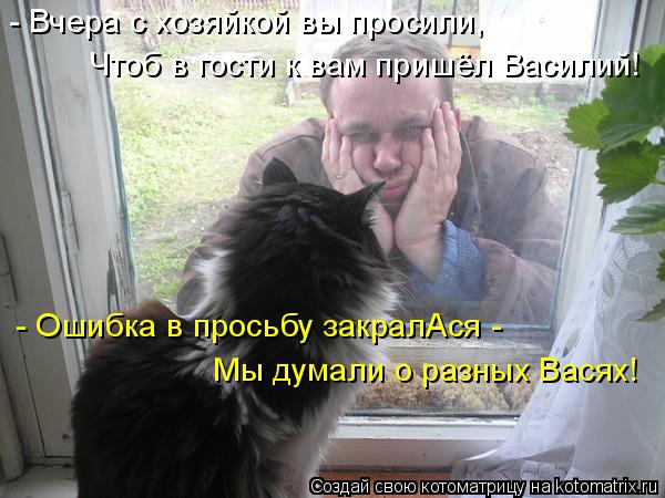 - Вчера с хозяйкой вы просили, Чтоб в гости к вам пришёл Василий! - Ошибка в просьбу закралАся - Мы д... Котоматрица: - Вчера с хозяйкой вы просили, Чтоб в гости к вам пришёл Василий! - Ошибка в просьбу закралАся - Мы думали о разных Васях!
