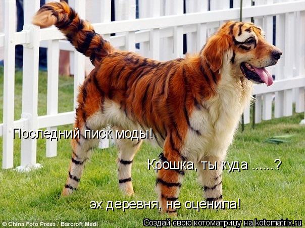 Котоматрица: Последний писк моды! Крошка, ты куда ......? эх деревня, не оценила!