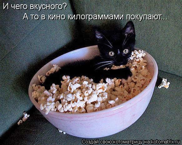 И чего вкусного? А то в кино килограммами покупают...... Котоматрица: И чего вкусного? А то в кино килограммами покупают...