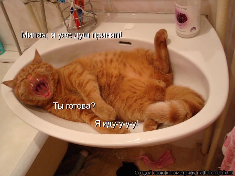 Милая, я уже душ принял! Ты готова? Я иду-у-у-у!... Котоматрица: Милая, я уже душ принял! Ты готова? Я иду-у-у-у!