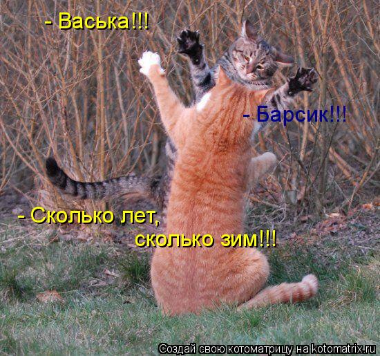 - Васька!!! - Барсик!!! - Сколько лет, сколько зим!!!... Котоматрица: - Васька!!! - Барсик!!! - Сколько лет, сколько зим!!!