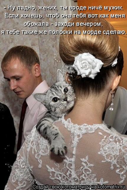 - Ну ладно, жених, ты вроде ничё мужик. Если хочешь, чтоб она тебя вот как меня обожала - заходи вече... Котоматрица: - Ну ладно, жених, ты вроде ничё мужик. Если хочешь, чтоб она тебя вот как меня обожала - заходи вечером, я тебе такие же полоски на морде сдела