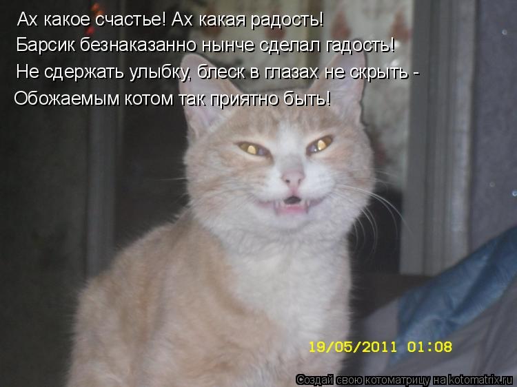 Ах какое счастье! Ах какая радость! Барсик безнаказанно нынче сделал гадость! Не сдержать улыбку, бле... Котоматрица: Ах какое счастье! Ах какая радость! Барсик безнаказанно нынче сделал гадость! Не сдержать улыбку, блеск в глазах не скрыть - Обожаемым котом