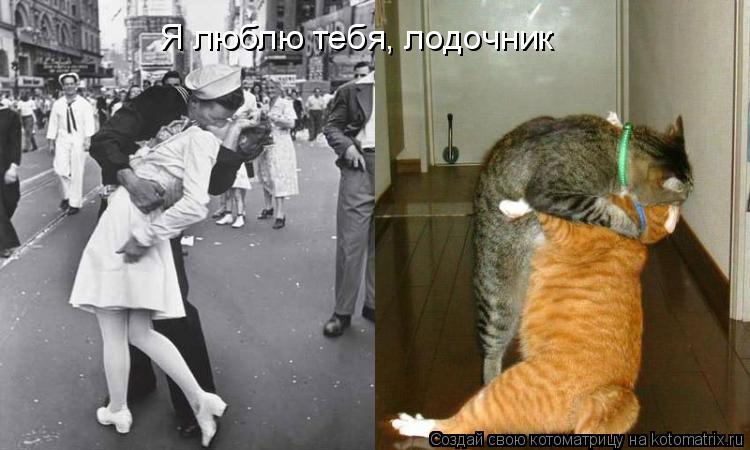Я люблю тебя, лодочник... Котоматрица: Я люблю тебя, лодочник