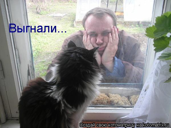 Выгнали...... Котоматрица: Выгнали...