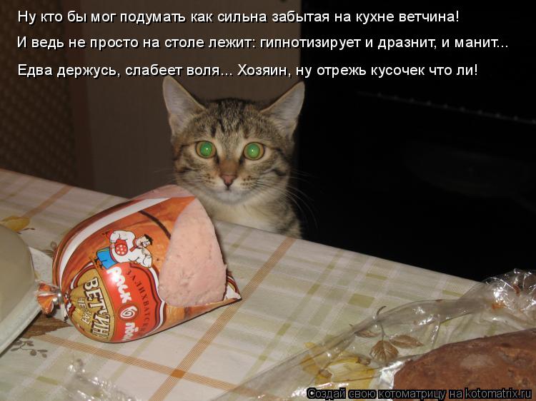 Ну кто бы мог подумать как сильна забытая на кухне ветчина! И ведь не просто на столе лежит: гипнотиз... Котоматрица: Ну кто бы мог подумать как сильна забытая на кухне ветчина! И ведь не просто на столе лежит: гипнотизирует и дразнит, и манит... Едва держусь,
