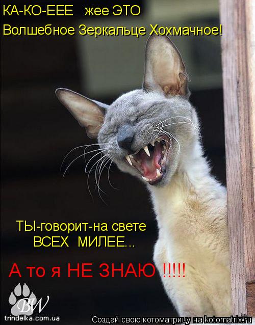 ТЫ-говорит-на свете ВСЕХ МИЛЕЕ... КА-КО-ЕЕЕ жее ЭТО Волшебное Зеркальце Хохмачное! А то я НЕ ЗНА... Котоматрица: ТЫ-говорит-на свете ВСЕХ МИЛЕЕ... КА-КО-ЕЕЕ жее ЭТО Волшебное Зеркальце Хохмачное! А то я НЕ ЗНАЮ !!!!!