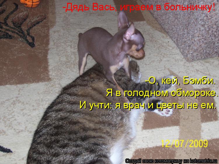 -Дядь Вась, играем в больничку! -О, кей, Бэмби. Я в голодном обмороке. И учти: я врач и цветы не ем.... Котоматрица: -Дядь Вась, играем в больничку! -О, кей, Бэмби. Я в голодном обмороке. И учти: я врач и цветы не ем.
