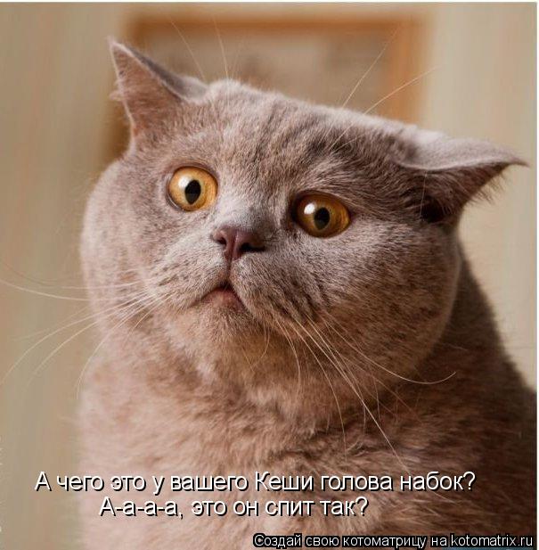 А чего это у вашего Кеши голова набок? А-а-а-а, это он спит так?... Котоматрица: А чего это у вашего Кеши голова набок? А-а-а-а, это он спит так?