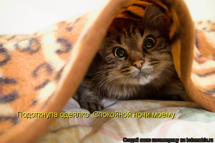 Подоткнула одеялко. Спокойной ночи моему.... Котоматрица: Подоткнула одеялко. Спокойной ночи моему.