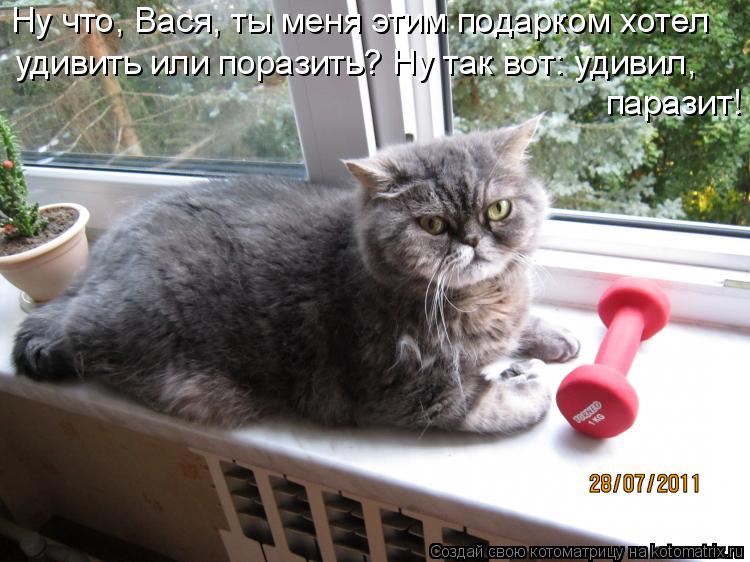 Ну что, Вася, ты меня этим подарком хотел удивить или поразить? Ну так вот: удивил, паразит!... Котоматрица: Ну что, Вася, ты меня этим подарком хотел удивить или поразить? Ну так вот: удивил, паразит!