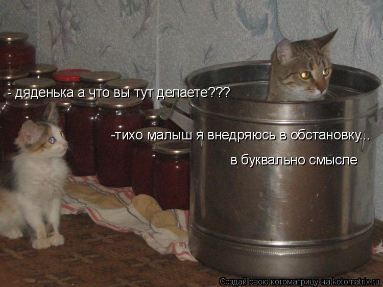 - дяденька а что вы тут делаете??? -тихо малыш я внедряюсь в обстановку... в буквально смысле... Котоматрица: - дяденька а что вы тут делаете??? -тихо малыш я внедряюсь в обстановку... в буквально смысле
