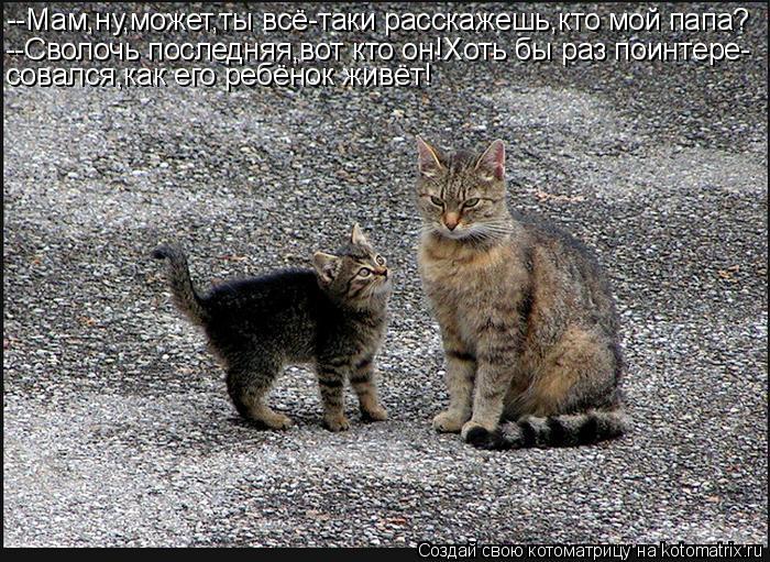 --Мам,ну,может,ты всё-таки расскажешь,кто мой папа? --Сволочь последняя,вот кто он!Хоть бы раз поинте... Котоматрица: --Мам,ну,может,ты всё-таки расскажешь,кто мой папа? --Сволочь последняя,вот кто он!Хоть бы раз поинтере- совался,как его ребёнок живёт!