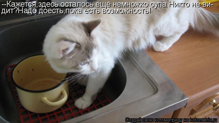 --Кажется,здесь осталось ещё немножко супа.Никто не ви- дит?Надо доесть,пока есть возможность!... Котоматрица: --Кажется,здесь осталось ещё немножко супа.Никто не ви- дит?Надо доесть,пока есть возможность!