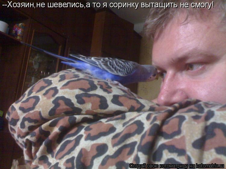 --Хозяин,не шевелись,а то я соринку вытащить не смогу!... Котоматрица: --Хозяин,не шевелись,а то я соринку вытащить не смогу!