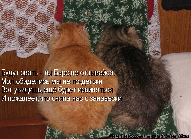 Будут звать - ты,Барс,не отзывайся. Мол,обиделись мы не по-детски. Вот увидишь,ещё будет извиняться И... Котоматрица: Будут звать - ты,Барс,не отзывайся. Мол,обиделись мы не по-детски. Вот увидишь,ещё будет извиняться И пожалеет,что сняла нас с занавески.