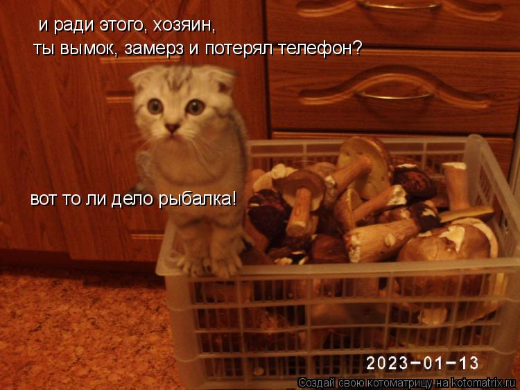 и ради этого, хозяин, ты вымок, замерз и потерял телефон? вот то ли дело рыбалка!... Котоматрица: и ради этого, хозяин, ты вымок, замерз и потерял телефон? вот то ли дело рыбалка!