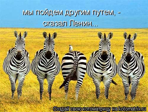 мы пойдем другим путем, - сказал Ленин...... Котоматрица: мы пойдем другим путем, - сказал Ленин...