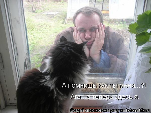 А помнишь как ты меня...?! Ага...а теперь здесь я.... Котоматрица: А помнишь как ты меня...?! Ага...а теперь здесь я.