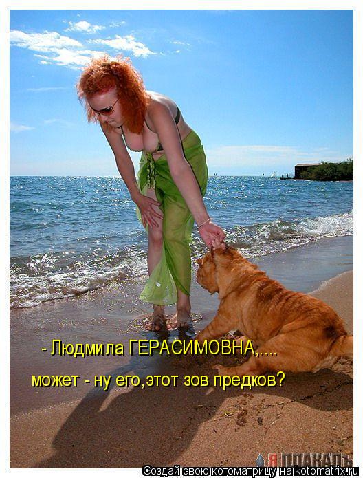 - Людмила ГЕРАСИМОВНА,.... может - ну его,этот зов предков?... Котоматрица: - Людмила ГЕРАСИМОВНА,.... может - ну его,этот зов предков?