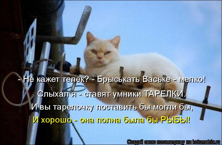 - Не кажет телек? - Брыськать Ваське - мелко! Слыхал я - ставят умники ТАРЕЛКИ. И вы тарелочку постав... Котоматрица: - Не кажет телек? - Брыськать Ваське - мелко! Слыхал я - ставят умники ТАРЕЛКИ. И вы тарелочку поставить бы могли бы, И хорошо - она полна была бы