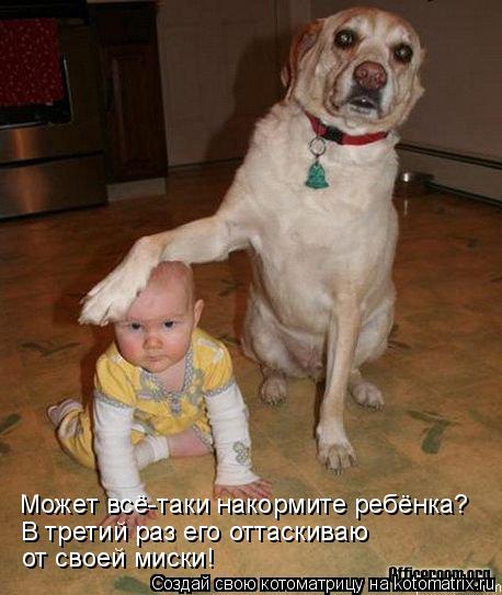 Может всё-таки накормите ребёнка? В третий раз его оттаскиваю от своей миски!... Котоматрица: Может всё-таки накормите ребёнка? В третий раз его оттаскиваю от своей миски!