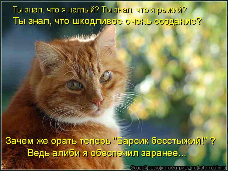 Ты знал, что я наглый? Ты знал, что я рыжий? Зачем же орать теперь "Барсик бесстыжий!" ? Ведь алиби я... Котоматрица: Ты знал, что я наглый? Ты знал, что я рыжий? Зачем же орать теперь "Барсик бесстыжий!" ? Ведь алиби я обеспечил заранее... Ты знал, что шкодливое
