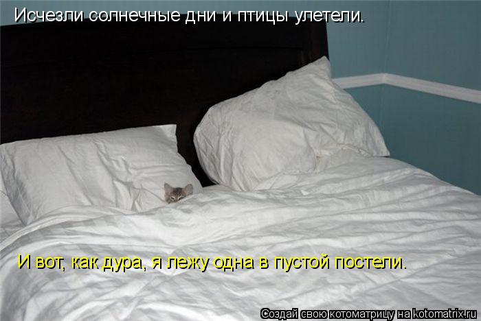 Исчезли солнечные дни и птицы улетели. И вот, как дура, я лежу одна в пустой постели.... Котоматрица: Исчезли солнечные дни и птицы улетели. И вот, как дура, я лежу одна в пустой постели.