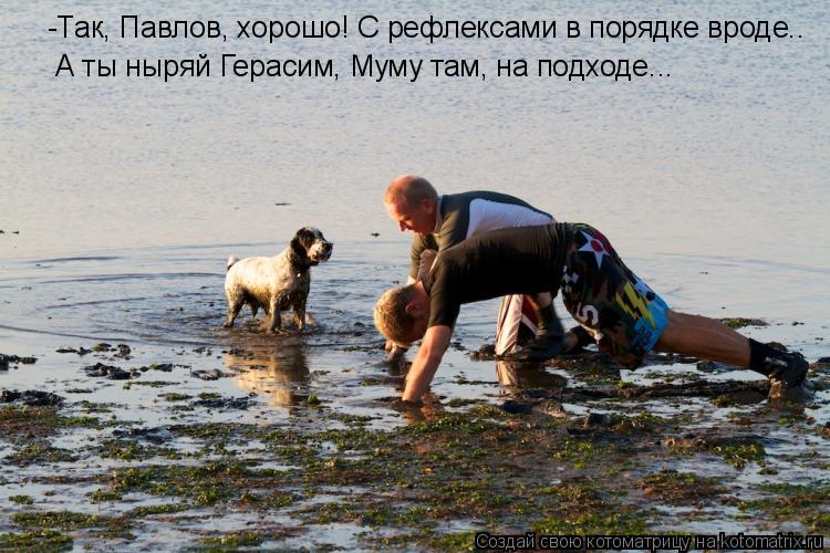 -Так, Павлов, хорошо! С рефлексами в порядке вроде.. А ты ныряй Герасим, Муму там, на подходе...... Котоматрица: -Так, Павлов, хорошо! С рефлексами в порядке вроде.. А ты ныряй Герасим, Муму там, на подходе...