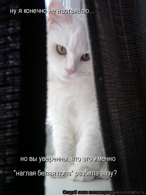 ну я конечно не настаиваю... но вы уверенны, что это именно "наглая белая попа" разбила вазу?... Котоматрица: ну я конечно не настаиваю... но вы уверенны, что это именно "наглая белая попа" разбила вазу?