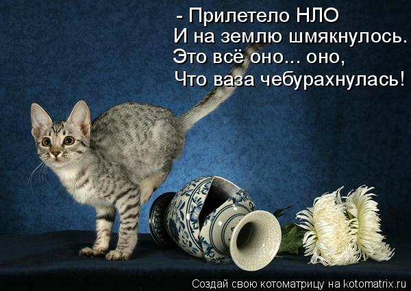 - Прилетело НЛО И на землю шмякнулось. Это всё оно... оно, Что ваза чебурахнулась!... Котоматрица: - Прилетело НЛО И на землю шмякнулось. Это всё оно... оно, Что ваза чебурахнулась!